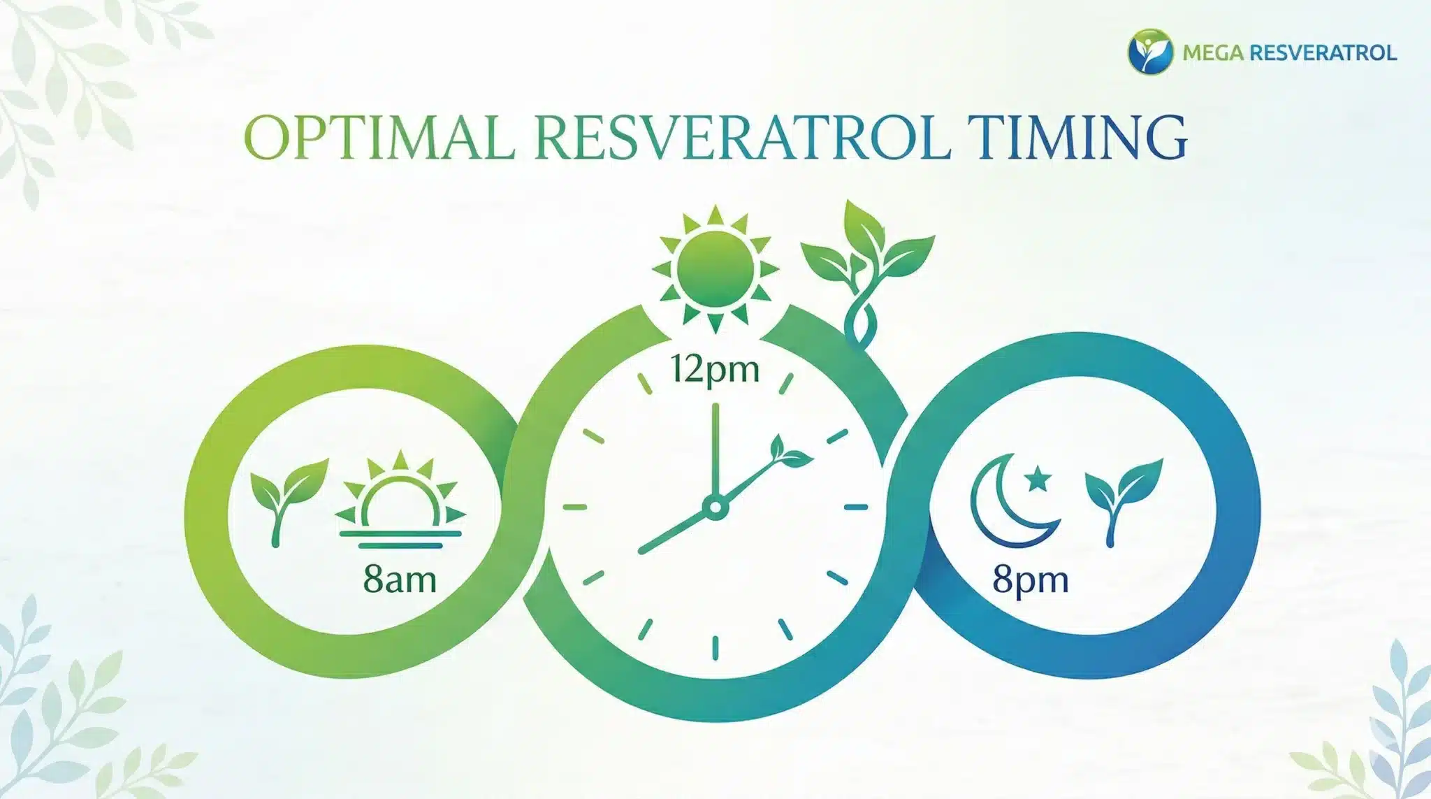 Best Time to Take Resveratrol