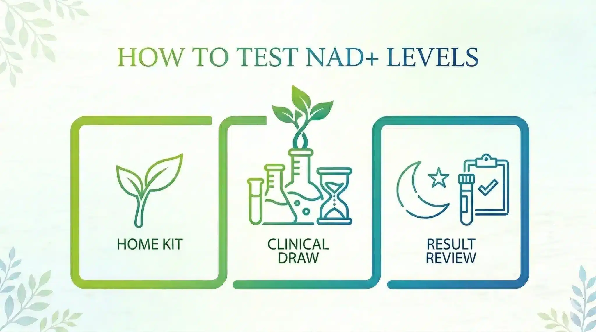 How to Test NAD+ Levels