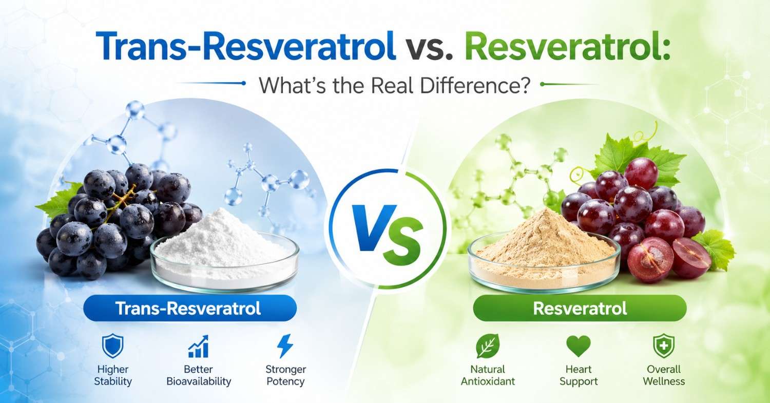 Trans-Resveratrol vs. Resveratrol: What’s the Real Difference?