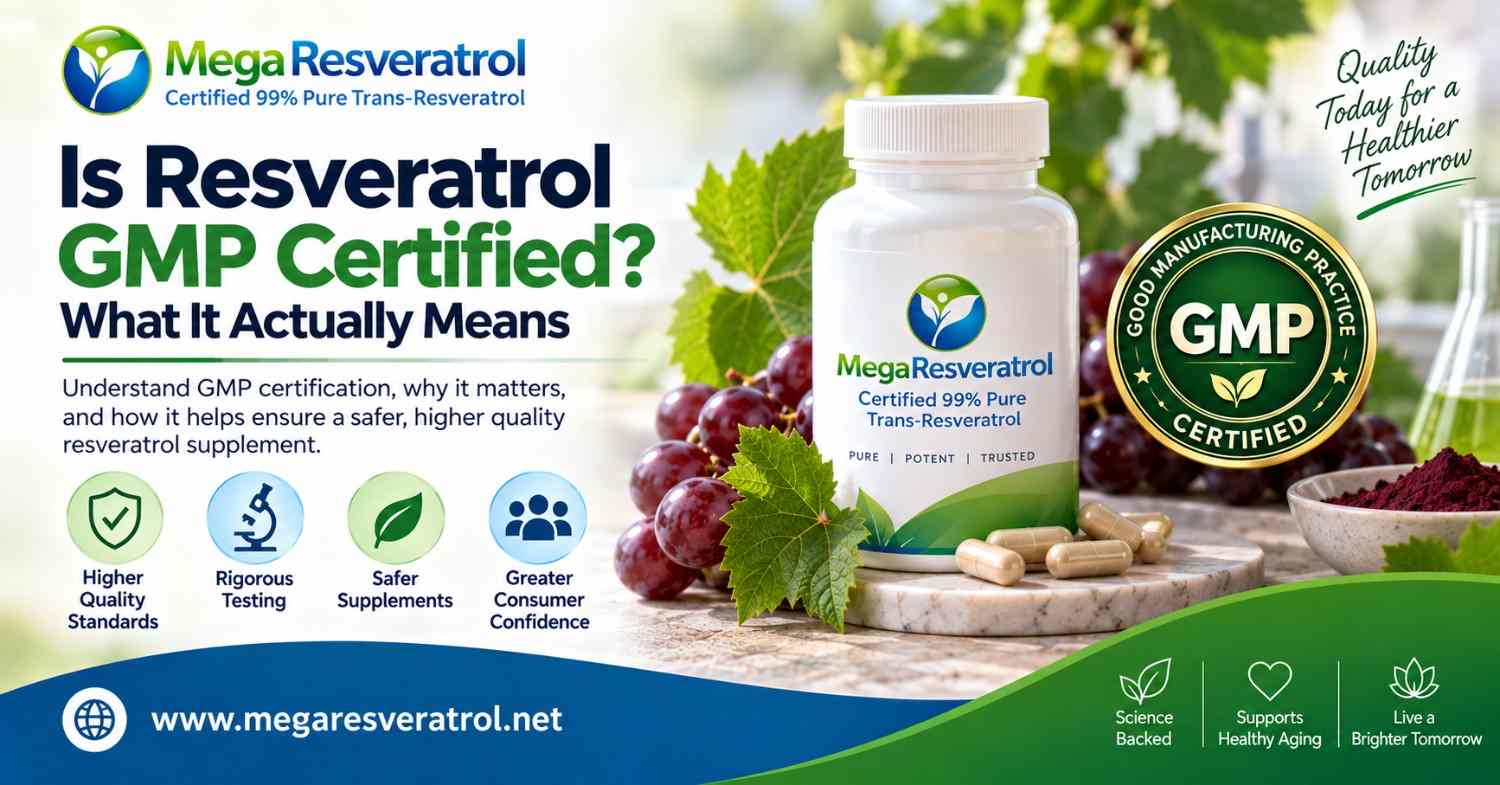 Is Resveratrol GMP Certified? What It Actually Means