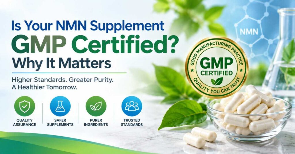 NMN Supplement GMP Certified