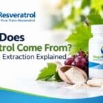 Where Does Resveratrol Come From? Sources and Extraction Explained