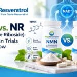 NMN vs. NR (Nicotinamide Riboside): What Human Trials Actually Show